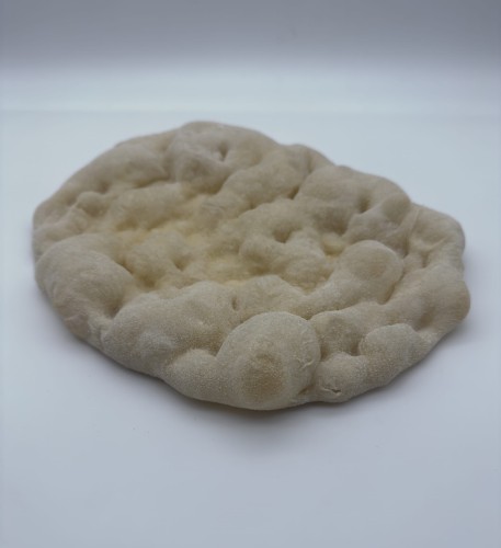 Spody do pizzy pinsa z mąki z plaskurki, pinsa z płaskurki, ekologiczna płaskurka, pinsa płaskurkowa, płaskurka ekologiczna